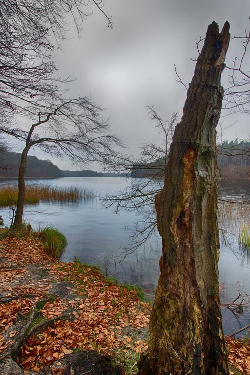 Hotel Am Liepnitzsee วันด์ลิทซ์ ภายนอก รูปภาพ