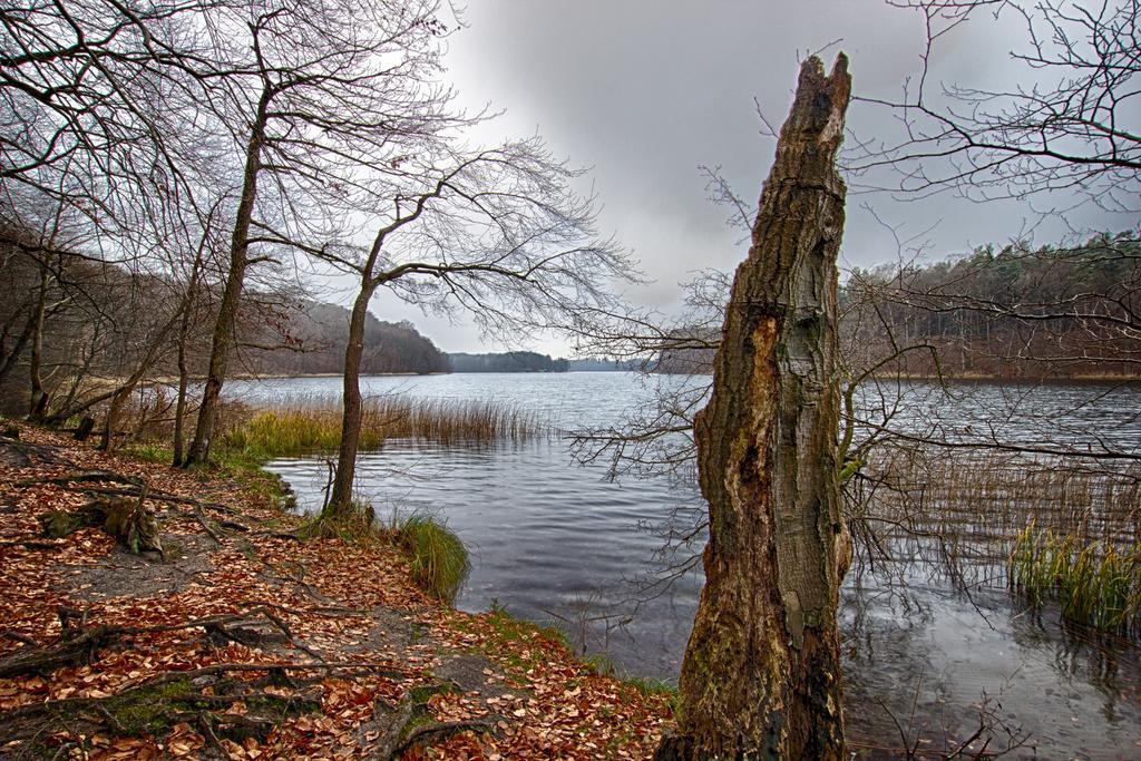 Hotel Am Liepnitzsee วันด์ลิทซ์ ภายนอก รูปภาพ