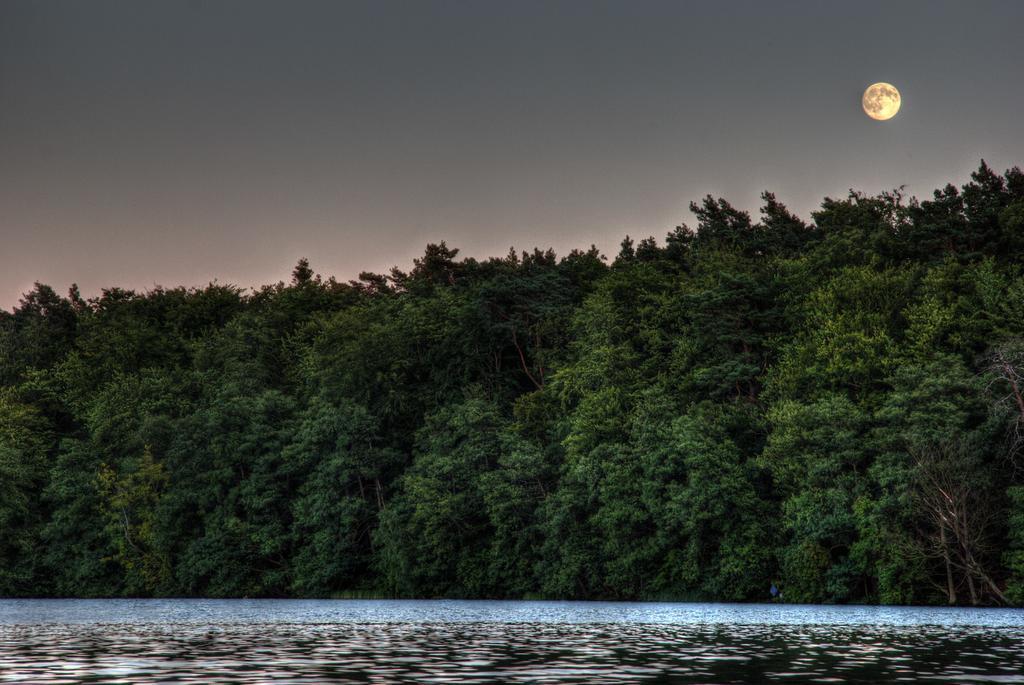 Hotel Am Liepnitzsee วันด์ลิทซ์ ภายนอก รูปภาพ