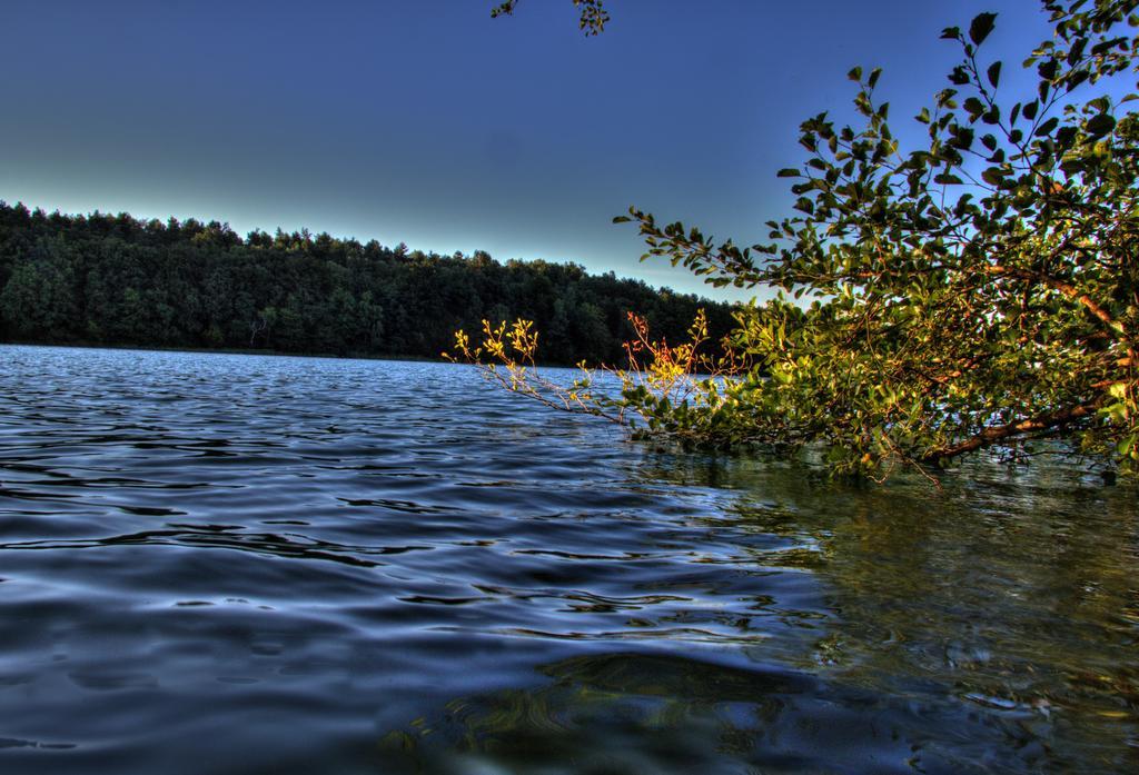 Hotel Am Liepnitzsee วันด์ลิทซ์ ภายนอก รูปภาพ