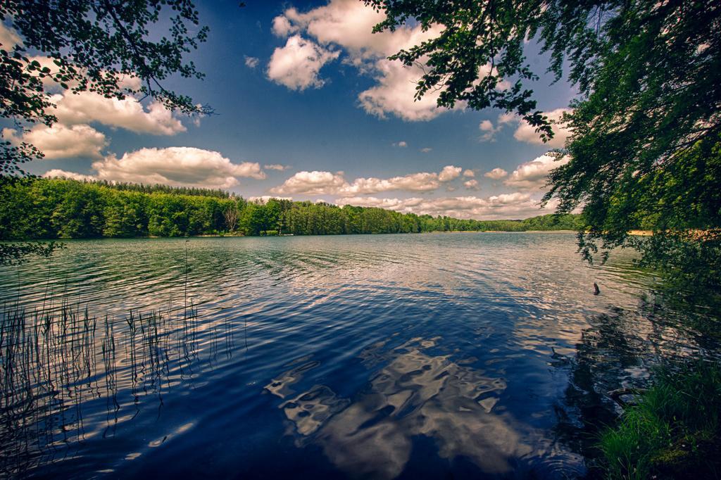 Hotel Am Liepnitzsee วันด์ลิทซ์ ภายนอก รูปภาพ