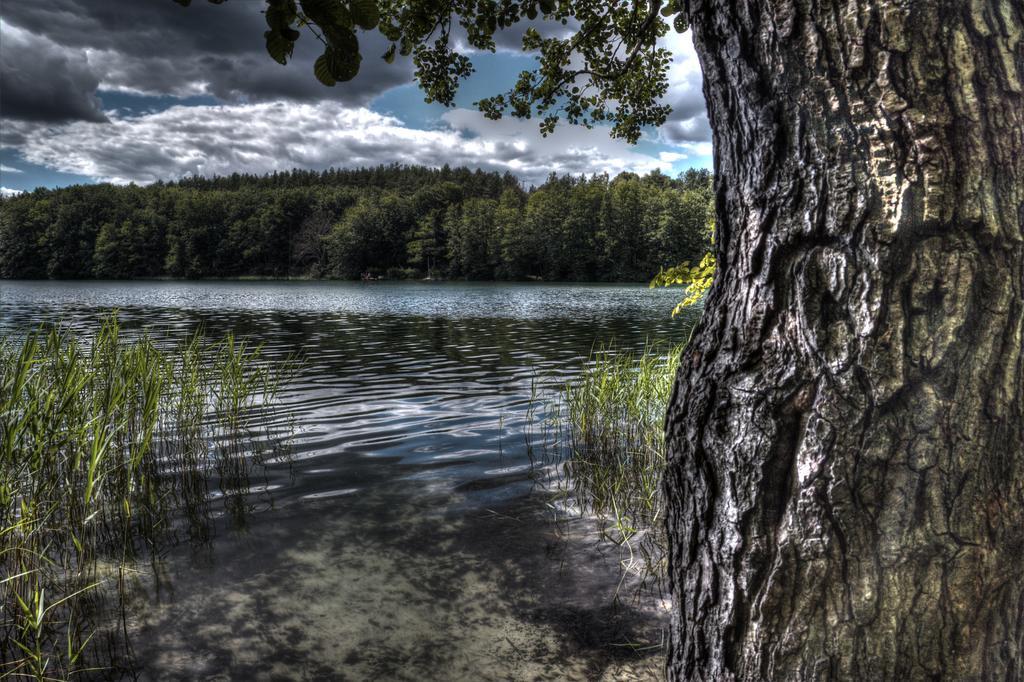 Hotel Am Liepnitzsee วันด์ลิทซ์ ภายนอก รูปภาพ